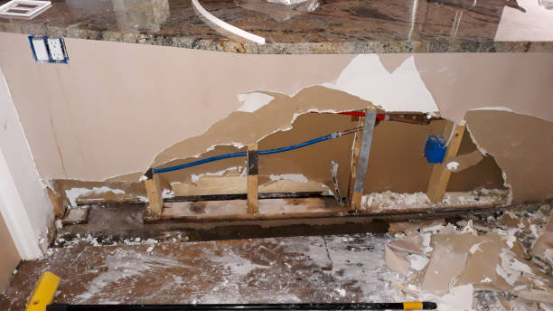 Best Water damage restoration mold remediation  in Grand Meadow, MN
